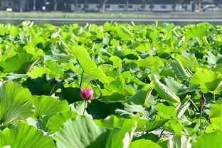 名记：今日季中锦标赛决赛 现场门票在赛前6个半小时已售罄